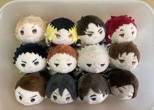 Haikyuu Mochi Mascots 12 Piece Set Anime Plush Figures Limited Collectible picture