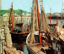 Vintage Postcard Fishing Draggers MacMillan Wharf Provincetown Massachusetts MA picture