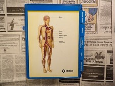 2004 Merck Cozaar Display picture