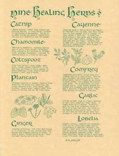9 Herbs Parchment-Like Page for Book of Shadows, Altar picture
