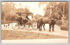 RPPC c1910s People Canopy Surrey Carriage Two Horse Team Pointer Dog Postcard picture