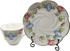 Vintage Salisbury Convolvulus Teacup & Saucer Morning Glory Bone China England picture