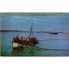 Seine Fishing In Boston Harbor Leading Fishing Port Vintage Postcard SP8-19 picture