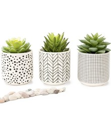 Kurrajong Farmhouse Artificial Succulents Set of 3 Black & White Pots 4.75