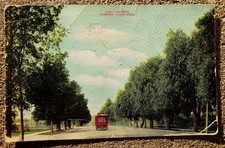 Bancroft-Whitney Co. Holt Avenue Street Scene Pomona CA Postcard Posted 1910 picture