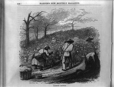 Photo:Picking Cotton 1854 Harper's New Monthly Magazine Slave Labor picture