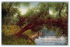 c1910 Scene Mississippi River Bend Trees Davenport Iowa Vintage Antique Postcard picture