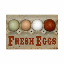 FRESH EGGS IN CARDBOARD EGG CARTON HEAVY DUTY USA MADE 36