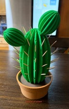 Cactus Toothpick Holder With Salt And Pepper Shakers - Kitchen Decor/essential picture