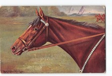Horse Head Artist Signed Art Postcard 1907-1915 picture