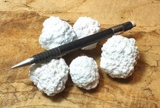 magnesite - white vitreous nodular magnesite - student unit of five specimens picture