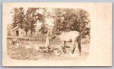 Postcard | Private Mailing Card RPPC Lady Feeding Horse & Chickens picture