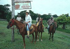 Patrice Wymore Flynn is seen at her home the Errol Flynn Estate ci- Old Photo 10 picture