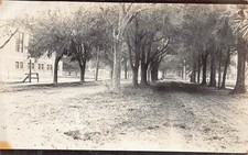 J79/ St Petersburg Florida RPPC Postcard c1910 Road Building Trees 112 picture