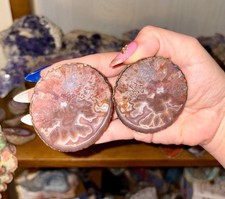 Zhanguo Agate Pair | Natural Banded Agate Slice | Collector Crystal | picture