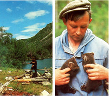 VTG Long Chrome Postcard Lake Baikal Barguzin Nature Sable Reserve Russia c1988 picture