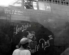 Georgia Bull Dog II Douglas A-20 Havoc Nose Art WWII 8x10 Photo Print HT4136381 picture