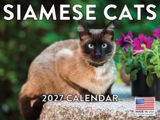 Siamese Cat Calendar 2027 Wall picture