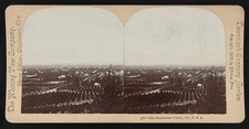 Photo:San Bernardino Valley California 1900s Panorama Whiting View Company picture