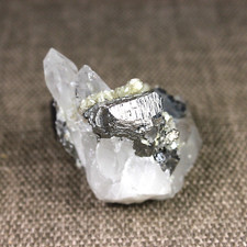 ARSENOPYRITE from YAOGANGXIAN MINE, CHINA EXTRA NICE CRYSTALS  #2835 W* picture