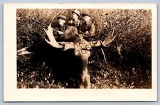 K58/ Interesting RPPC Postcard c1910 Moose Hunting Men Rifle Antlers 243 picture