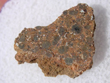 .717 grams NWA 2135 Meteorite ( class LL4 ) cut fragment - found in Africa + COA picture