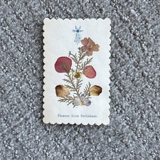 Vintage Card of pressed dried flowers from Bethlehem picture