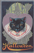 Antique Embossed Halloween Postcard Black Cat Witches Moon Broom 1911 Bangor picture