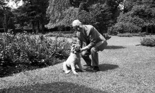 Maurice Chevalier posing with his dog in 1969 Historic Old Photo picture