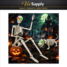 36'' Halloween Skeleton Decoration with Dog - Posable, Glowing Eyes, Spooky Deco picture