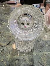 Disney Cruise Line Disney Treasure Scat Cat Lounge Rocks Glass  picture