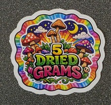 Psychedelic Mushroom Sticker – 