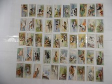 Players Cigarette Cards Game Birds & Wild Fowl 1927 Complete Set 50 picture