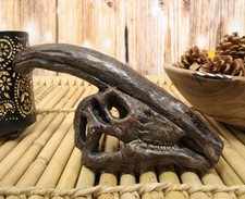 Faux Taxidermy Replica Parasaurolophus Dinosaur Head Fossil Small Skull Figurine picture