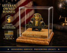U.S. Embassy Cairo Egypt Challenge Coin Display Case b-91 picture