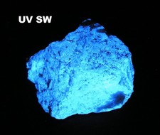 FLUORESCENT SCHEELITE - 4.9 cm - EMPIRE MINE, CALIFORNIA 30428 picture