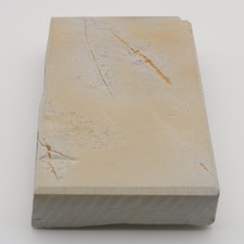 JNAT Renge Suita 890g Shohonyama Awasedo 正本山合砥 蓮華巣板 Japanese Natural Whetstone picture