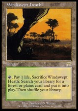 Windswept Heath ~ Onslaught [ Excellent ] [ Magic MTG ] picture