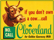 If You Don't Own A Cow Call Cloverland Metal Sign 3 Sizes to Choose From m86 picture