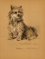Vintage Lucy Dawson Cairn Terrier Print Wall Art Decor 1940s Cairn Art 7114j picture