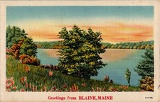 Greetings from Blaine, Maine ME Postcard picture