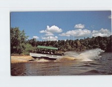 Duck Entering Wisconsin River Wisconsin Dells Wisconsin USA Q-46039 picture