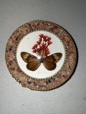 Vintage Real Butterfly Taxidermy Round Convex Glass Stone Box Brazil Brasil picture