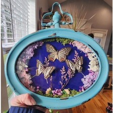 Handmade OOAK Butterfly Taxidermy Shadow Box Framed Wall Art Grandmacore Decor picture