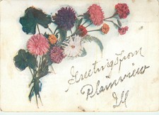 IL Illinois Plainview Greetings from Glitter Embossed ca 1907 Postcard picture