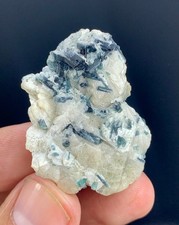 17 gM Blue Indicolite Color Tourmaline Crystal Bunch On Mica Specimen @ Afghanis picture