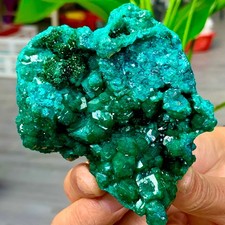 189G Natural green dioptase emerandine gemstone cluster mineral specimen picture