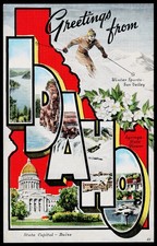 Greetings from IDAHO -Large Letter Vintage Postcard picture