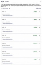 Southwest Airlines $100-2k Transferable Flight Credit- Fast Transfer picture