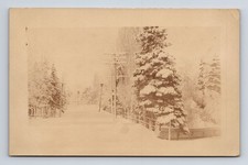RPPC Unknown Snow Covered Road & Trees Real Photo Postcard picture